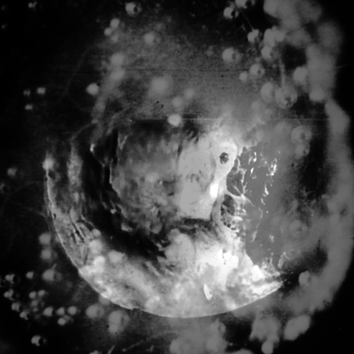 imagen 16. ferran destemple